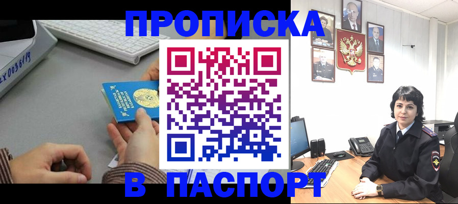 прописка в Чудово